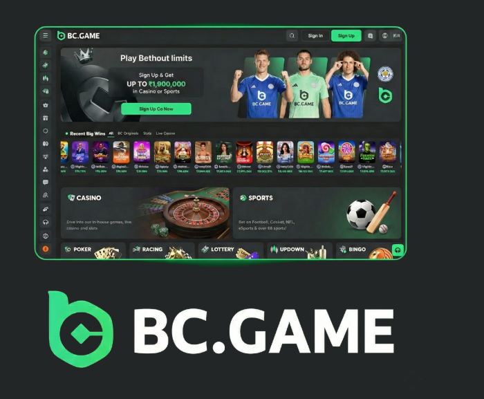 Exploring BC.Game Platform A Comprehensive Guide